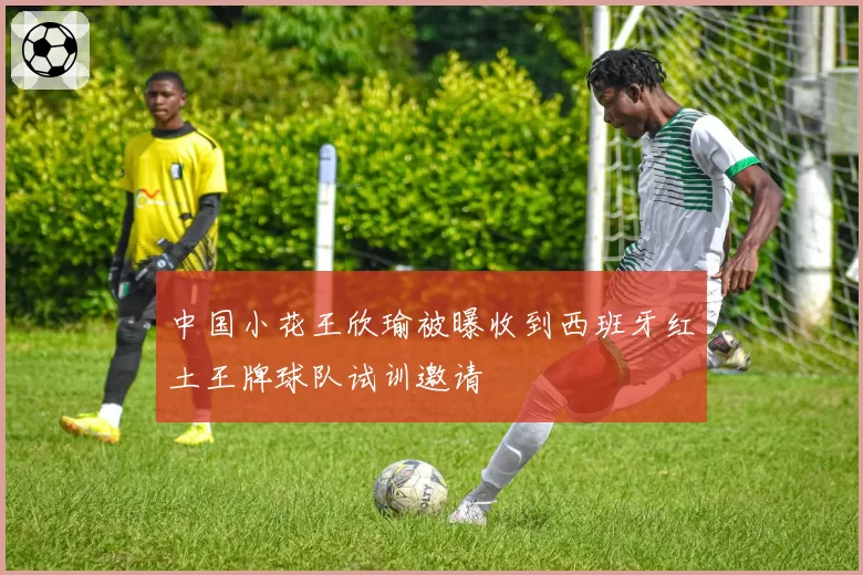 中国小花王欣瑜被曝收到西班牙红土王牌球队试训邀请