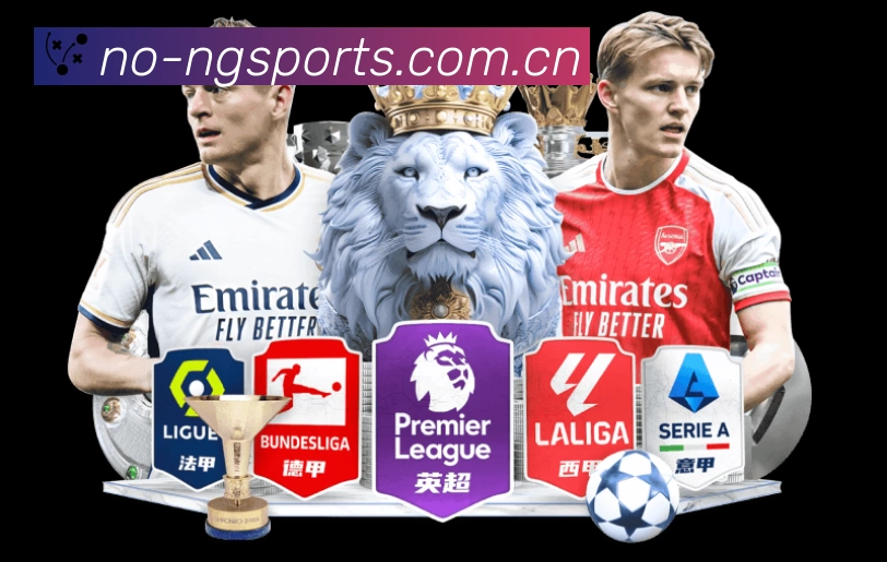 关于 NG体育